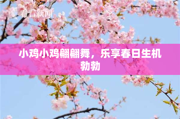 小鸡小鸡翩翩舞，乐享春日生机勃勃