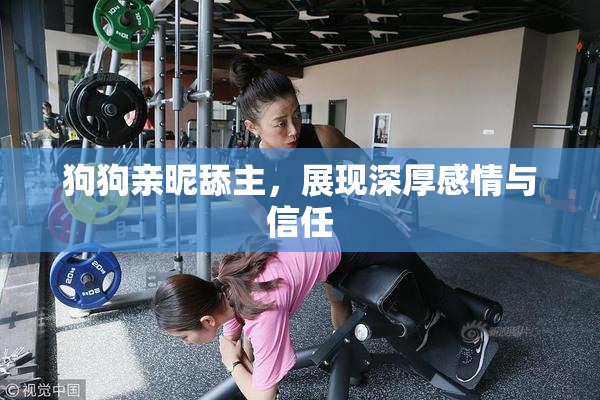 狗狗亲昵舔主，展现深厚感情与信任