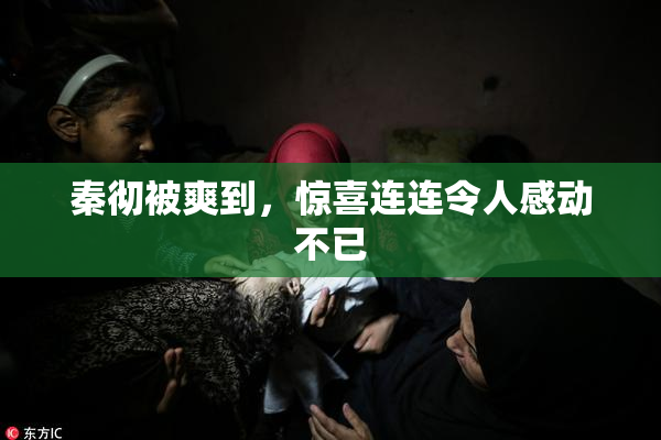 秦彻被爽到，惊喜连连令人感动不已