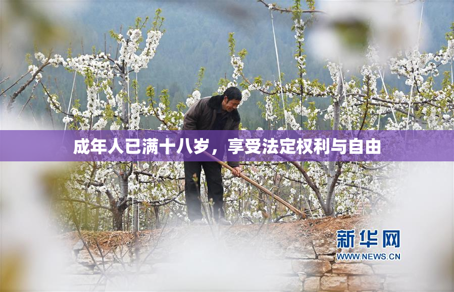成年人已满十八岁，享受法定权利与自由