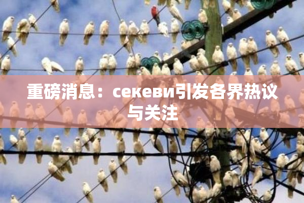 重磅消息：ceкеви引发各界热议与关注