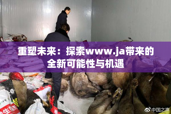 重塑未来：探索www.ja带来的全新可能性与机遇