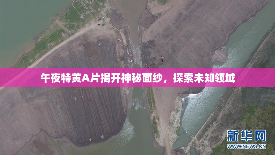 午夜特黄A片揭开神秘面纱，探索未知领域