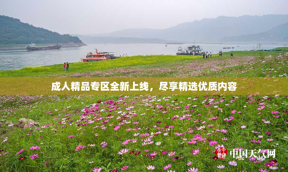 成人精品专区全新上线，尽享精选优质内容