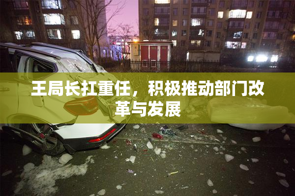 王局长扛重任，积极推动部门改革与发展