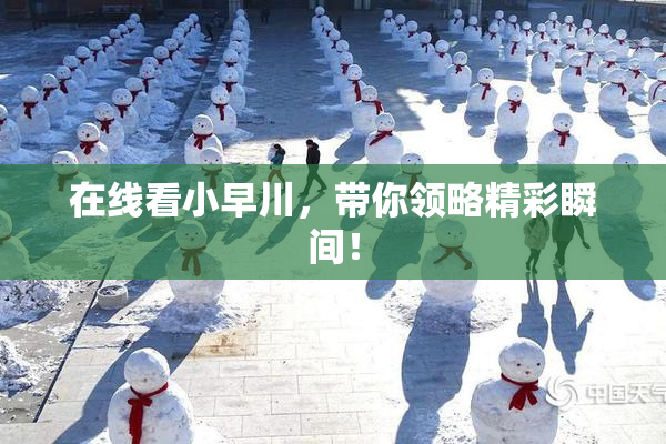 在线看小早川，带你领略精彩瞬间！