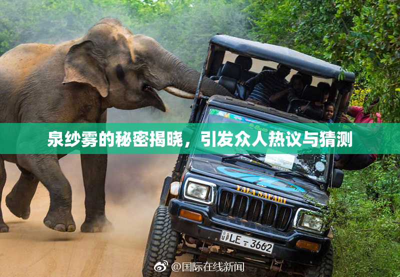 泉纱雾的秘密揭晓，引发众人热议与猜测