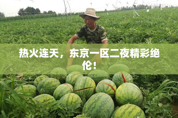 热火连天，东京一区二夜精彩绝伦！