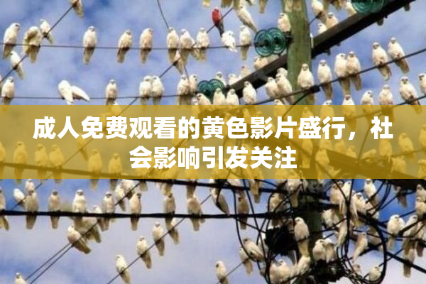 成人免费观看的黄色影片盛行，社会影响引发关注