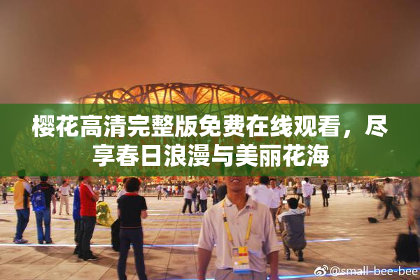 樱花高清完整版免费在线观看，尽享春日浪漫与美丽花海
