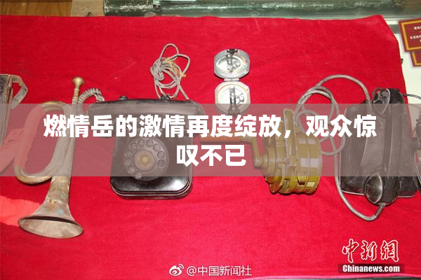 燃情岳的激情再度绽放，观众惊叹不已