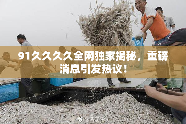 91久久久久全网独家揭秘，重磅消息引发热议！