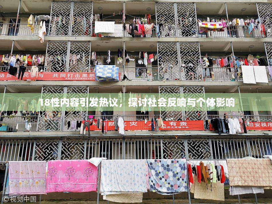 18性内容引发热议，探讨社会反响与个体影响