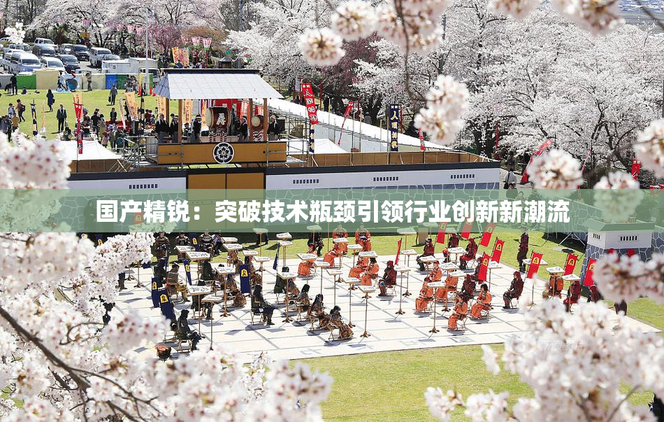 国产精锐：突破技术瓶颈引领行业创新新潮流