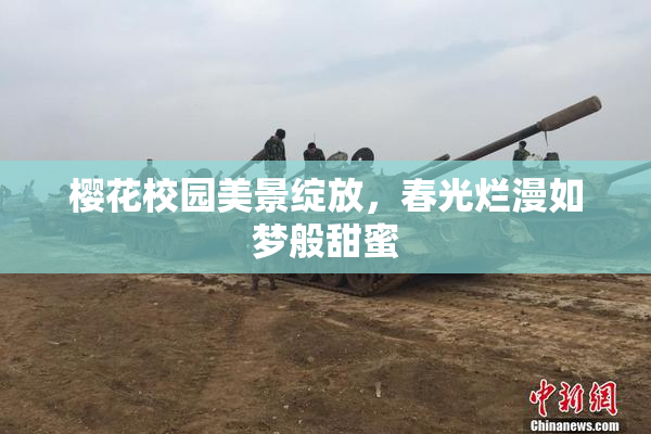 樱花校园美景绽放，春光烂漫如梦般甜蜜
