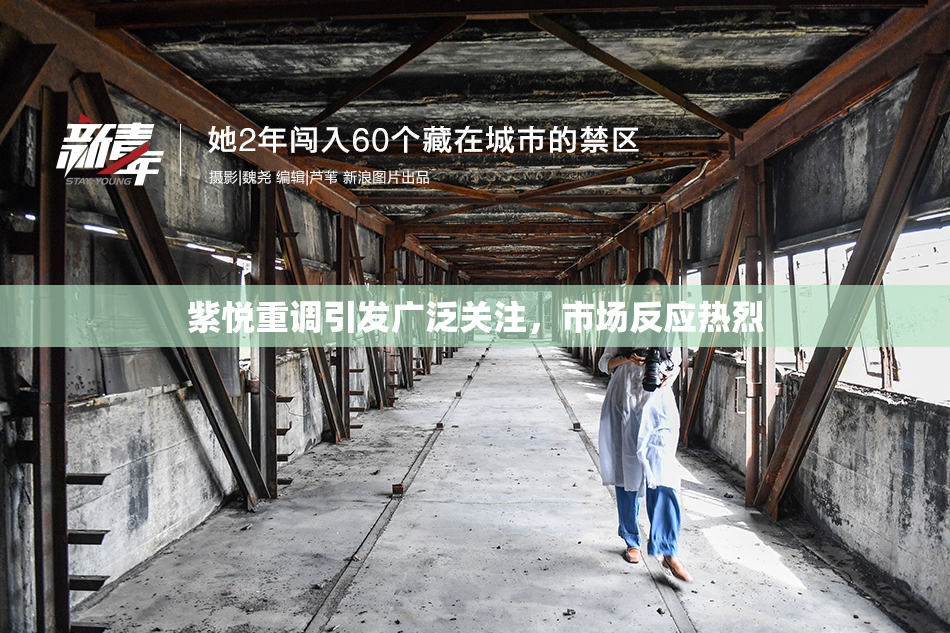 紫悦重调引发广泛关注，市场反应热烈