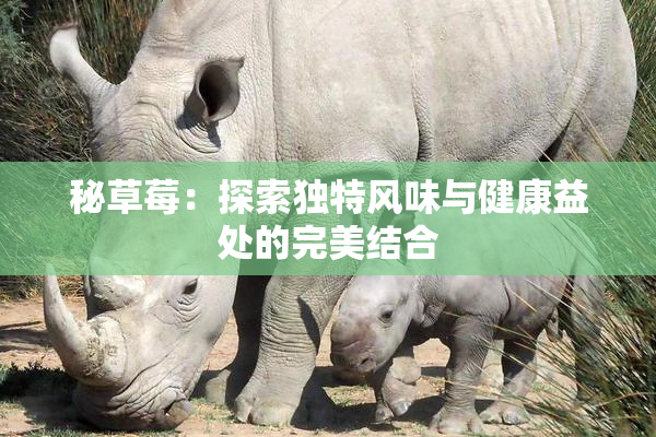 秘草莓：探索独特风味与健康益处的完美结合