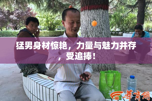 猛男身材惊艳，力量与魅力并存，受追捧！