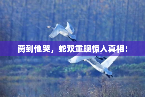 脔到他哭，蛇双重现惊人真相！