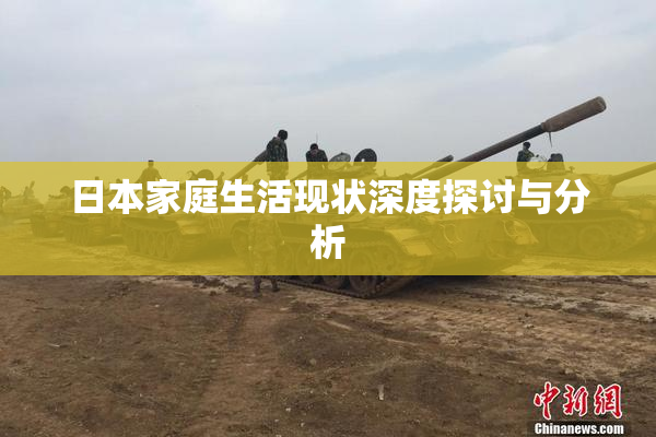 日本家庭生活现状深度探讨与分析