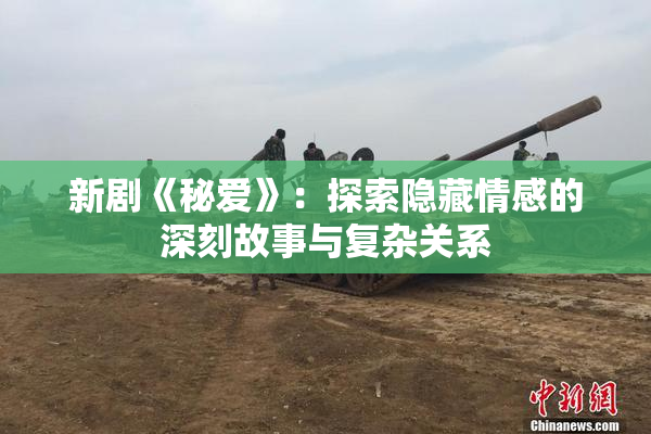 新剧《秘爱》：探索隐藏情感的深刻故事与复杂关系