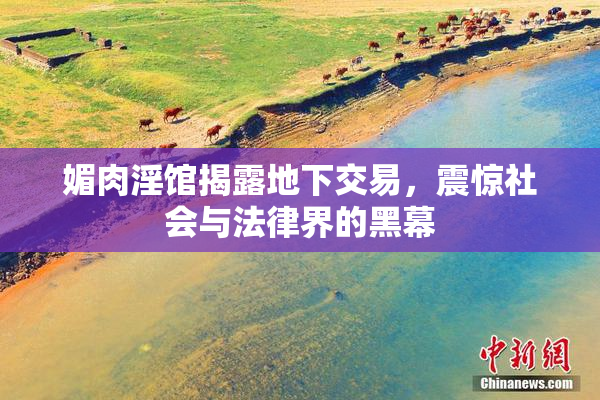媚肉淫馆揭露地下交易，震惊社会与法律界的黑幕