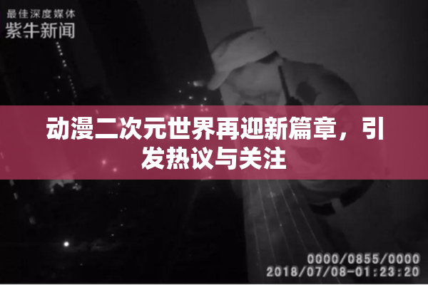 动漫二次元世界再迎新篇章，引发热议与关注