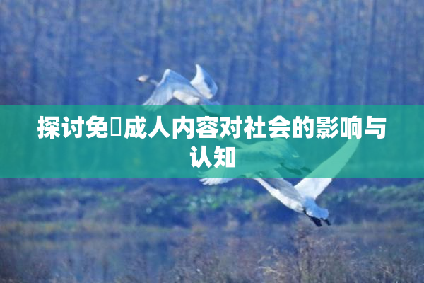 探讨免費成人内容对社会的影响与认知