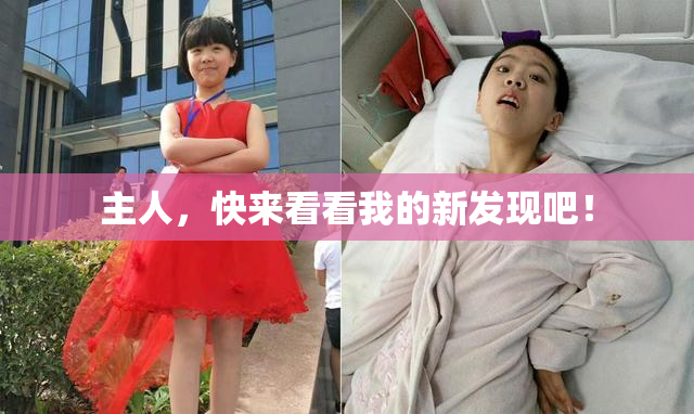 主人，快来看看我的新发现吧！
