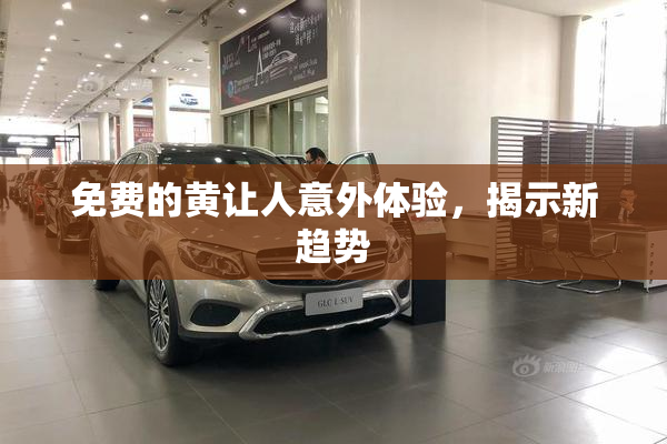 免费的黄让人意外体验，揭示新趋势