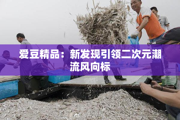 爱豆精品：新发现引领二次元潮流风向标