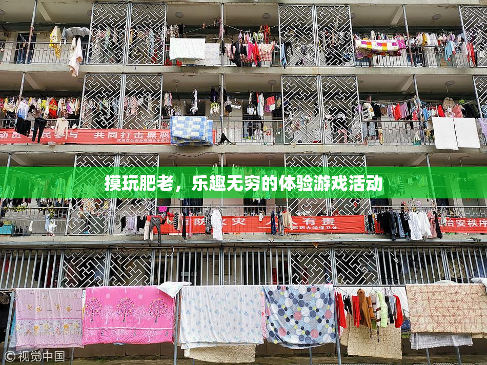 摸玩肥老，乐趣无穷的体验游戏活动