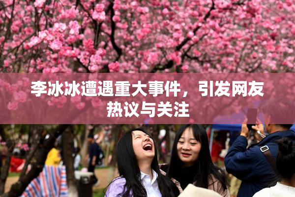 李冰冰遭遇重大事件，引发网友热议与关注