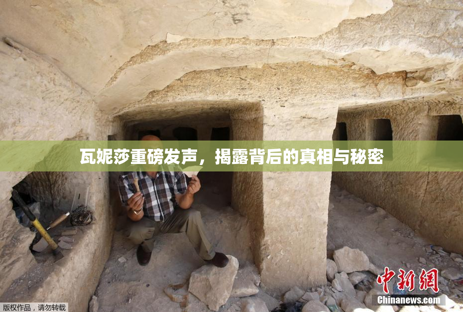 瓦妮莎重磅发声，揭露背后的真相与秘密