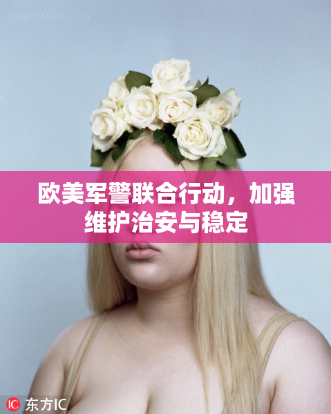 欧美军警联合行动，加强维护治安与稳定