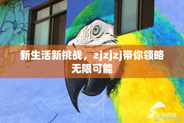 新生活新挑战，zjzjzj带你领略无限可能