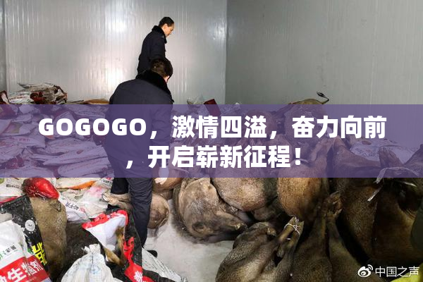 GOGOGO，激情四溢，奋力向前，开启崭新征程！