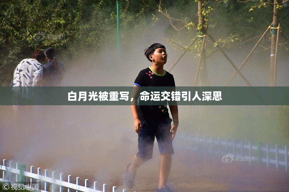 白月光被重写，命运交错引人深思