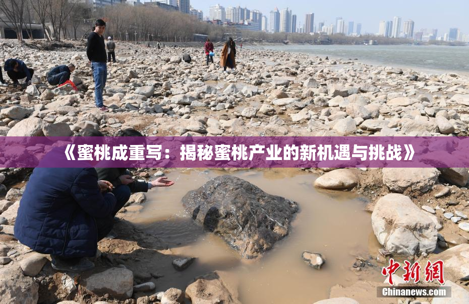 《蜜桃成重写：揭秘蜜桃产业的新机遇与挑战》