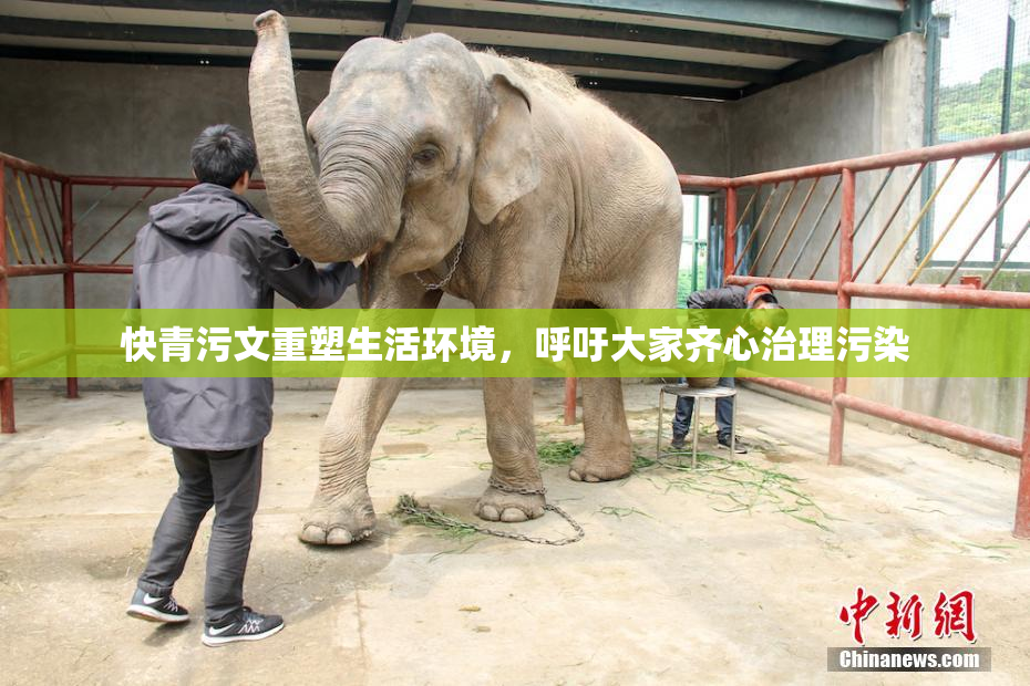 快青污文重塑生活环境，呼吁大家齐心治理污染