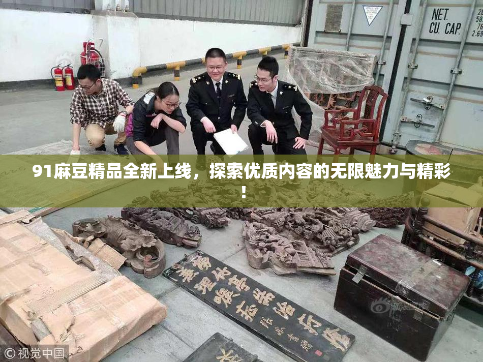91麻豆精品全新上线，探索优质内容的无限魅力与精彩！