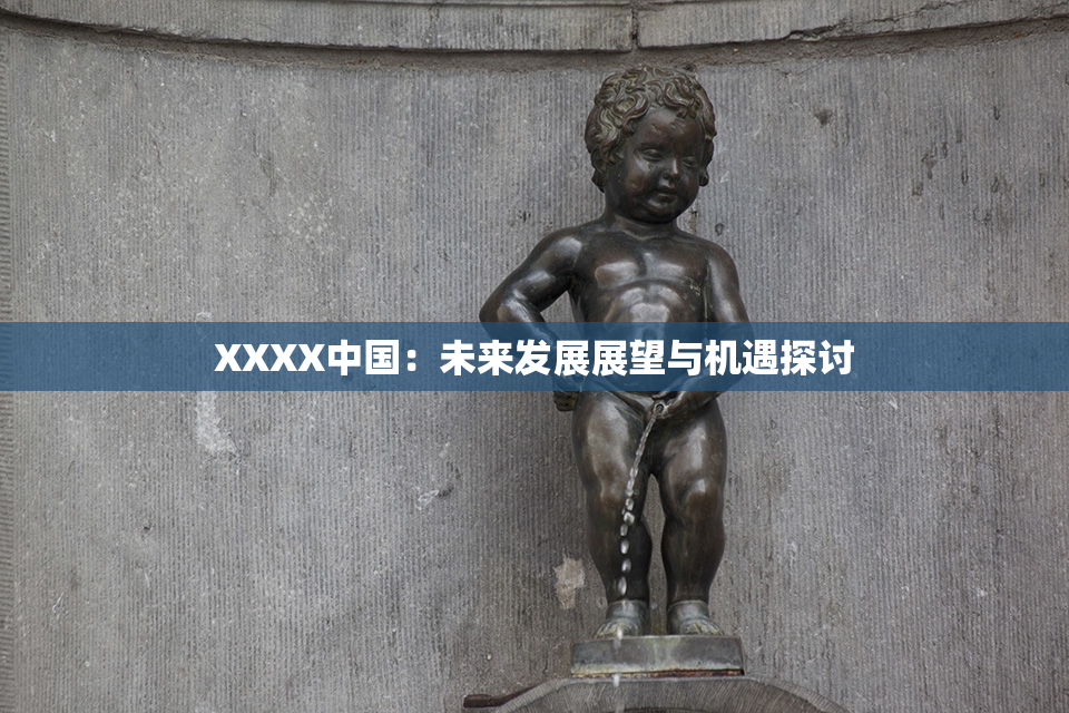 XXXX中国：未来发展展望与机遇探讨