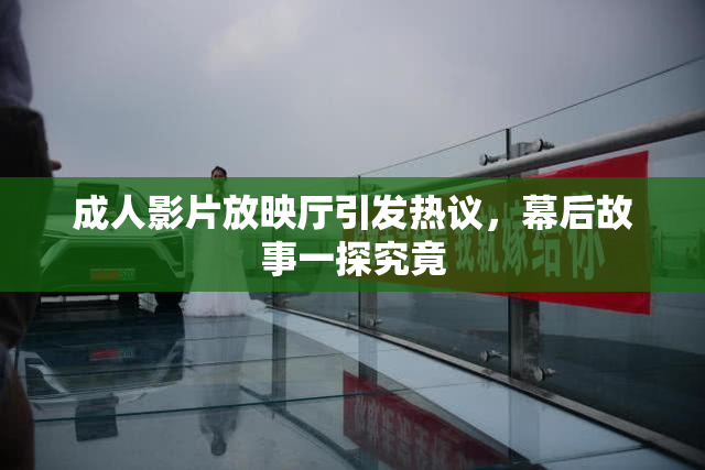 成人影片放映厅引发热议，幕后故事一探究竟
