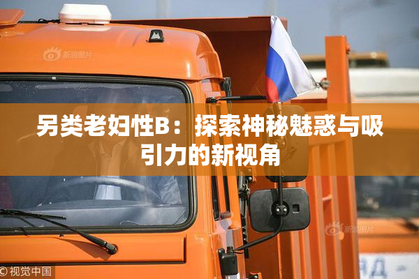 另类老妇性B：探索神秘魅惑与吸引力的新视角