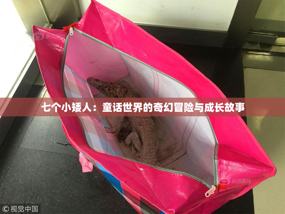 七个小矮人：童话世界的奇幻冒险与成长故事