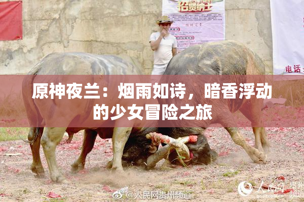 原神夜兰：烟雨如诗，暗香浮动的少女冒险之旅