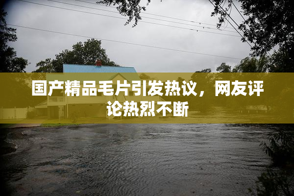 国产精品毛片引发热议，网友评论热烈不断