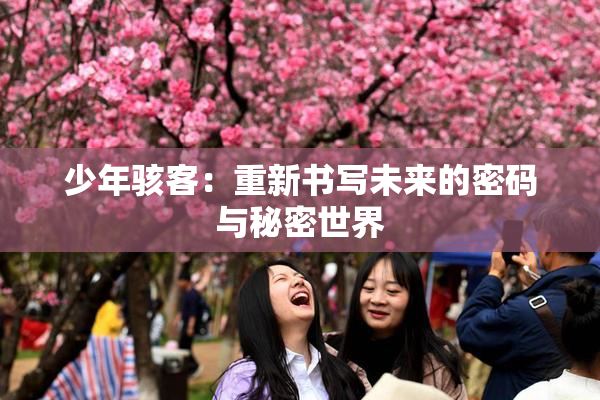 少年骇客：重新书写未来的密码与秘密世界