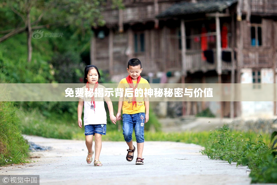 免费秘揭示背后的神秘秘密与价值