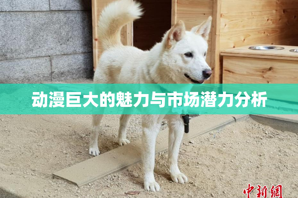 动漫巨大的魅力与市场潜力分析